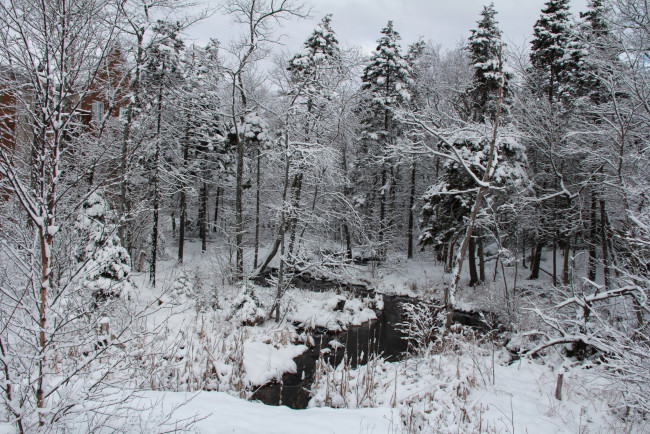 Обои картинки фото природа, зима, снег, река, деревья