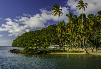 Картинка природа тропики пальмы океан