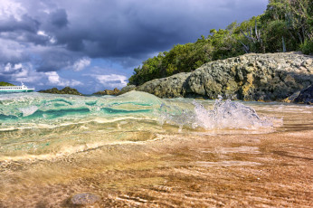 Картинка природа побережье деревья камни капли вода пляж