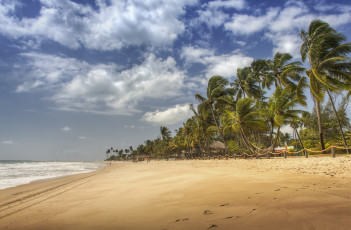Картинка природа тропики пляж