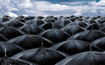 Картинка разное сумки +кошельки +зонты облака небо мокрые черные зонты