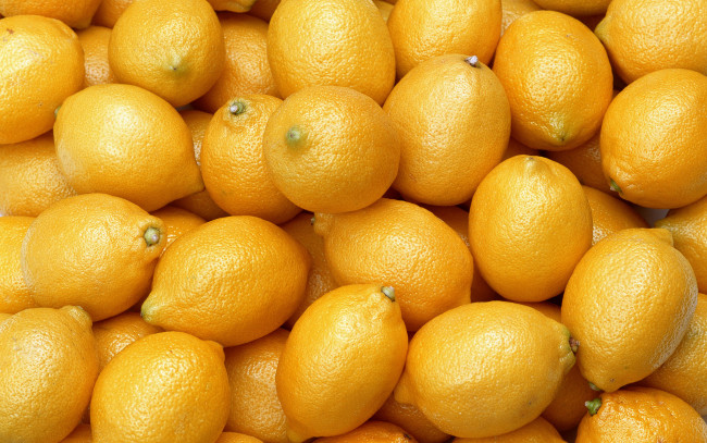 Обои картинки фото еда, цитрусы, россыпь, куча, лимоны