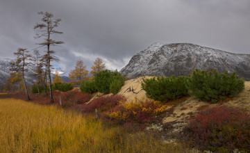 Картинка kolyma природа пейзажи лес горы осень красота край вид пейзаж