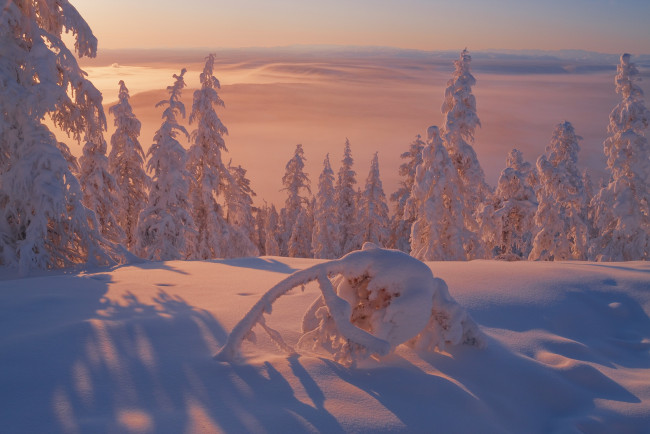 Обои картинки фото Якутия,  оймяконский район, природа, зима, мороз, оймяконский, пейзаж, вече, район, снег, деревья, холод, закат