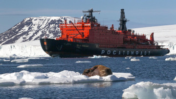 обоя корабли, ледоколы, арктика, ледокол, морж, льдина, северный, полюс
