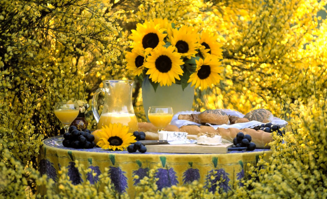 Обои картинки фото еда, натюрморт, подсолнухи, стол, цветение, сад, сок, виноград, хлеб