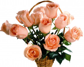 Картинка цветы розы корзинка капли