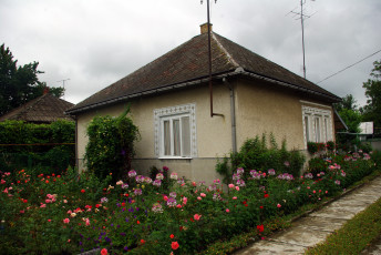 Картинка города здания дома дорожка дом цветы