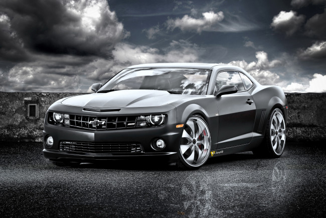 Обои картинки фото 2011, chevrolet, camaro, black, cat, автомобили