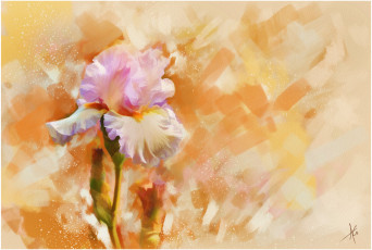 Картинка рисованные цветы ирис