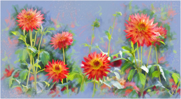 Картинка рисованные цветы георгины