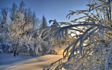 Картинка природа зима ветки деревья снег