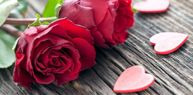 Обои картинки фото цветы, розы, сердечки