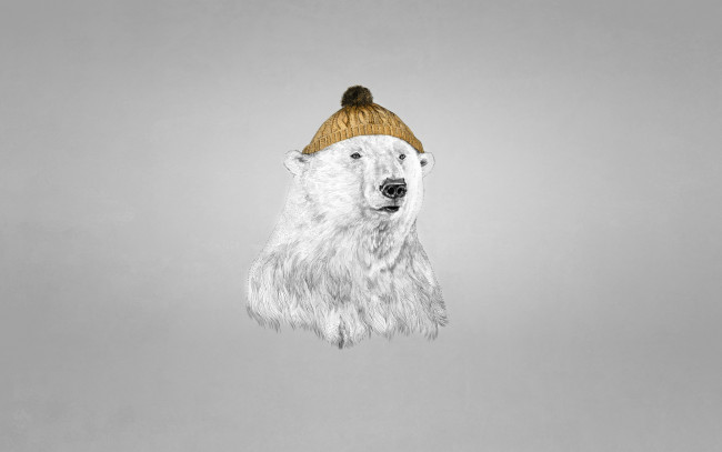 Обои картинки фото белый медведь в шапке, рисованные, минимализм, белый, медведь, шапка