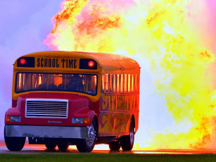 Картинка автомобили автобусы international school bus