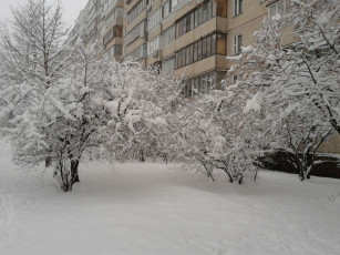 Картинка киев+в+феврале природа зима троещина киев снег дом