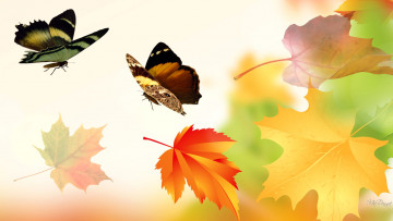 обоя векторная графика, животные, крылья, бабочка, осень, листья, коллаж