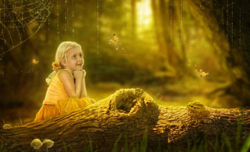 Картинка рисованное дети лягушка паутинка лето девочка бревно бабочки ствол лес