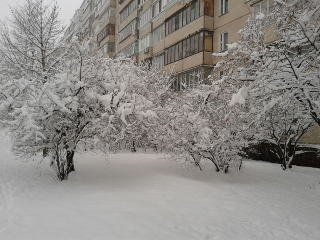 Обои картинки фото киев в феврале, природа, зима, троещина, киев, снег, дом