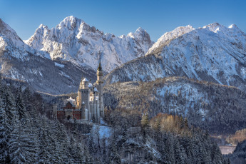 обоя neuschwanstein castle - bavaria, города, замки германии, горы, замок, лес