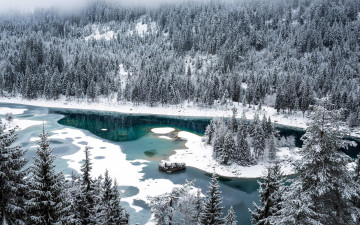Картинка природа реки озера лес остров деревья снег зима панорама река лед