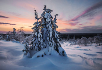 Картинка природа зима finland lapland финляндия лапландия снег деревья