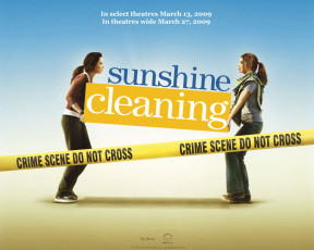 Картинка sunshine cleaning кино фильмы
