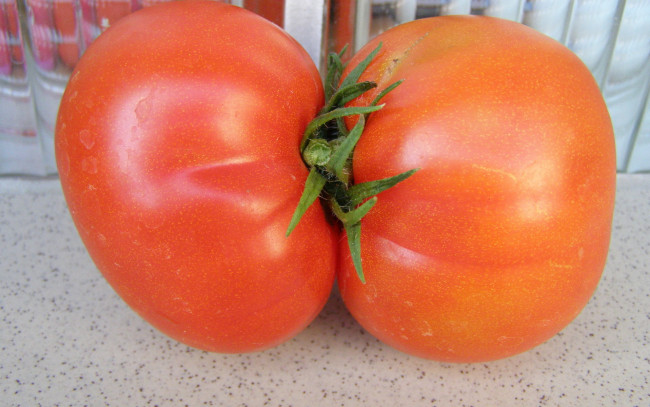 Обои картинки фото еда, помидоры, сросшиеся, томаты