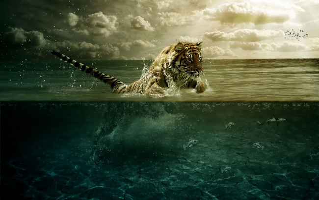 Обои картинки фото разное, компьютерный, дизайн, рыбы, вода, тигр