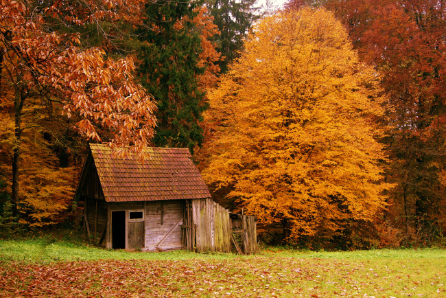Обои картинки фото разное, сооружения, постройки, домик, природа, осень, лес