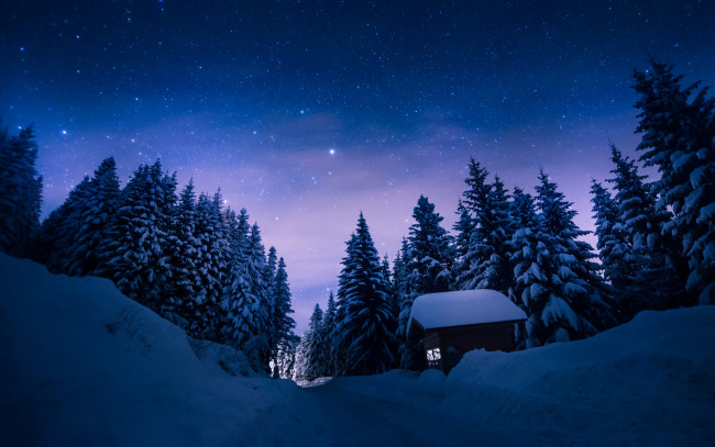 Обои картинки фото природа, зима, ночь, снег, звезды, ель