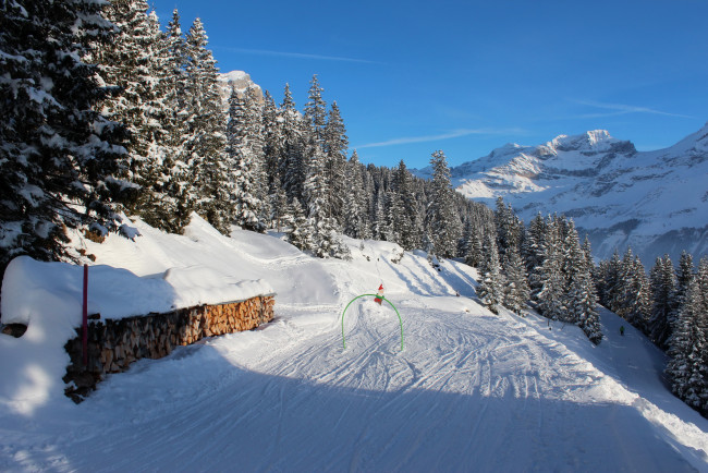 Обои картинки фото швейцария, ури, шпиринген, природа, зима, горы, ели, снег