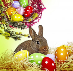 Картинка праздничные -+пасха easter bunny rabbit spring decoration willow twig flowers eggs colorful пасха кролик весна верба цветы пасхальный крашеные яйца корзина ветки