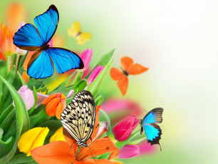 Картинка разное компьютерный+дизайн tulips spring butterflies colorful flowers тюльпаны цветы fresh beautiful весна бабочки