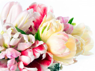 Картинка цветы тюльпаны разноцветный