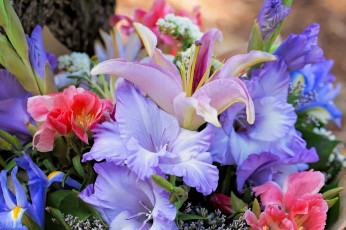 Картинка цветы букеты +композиции гладиолусы лилия ирис букет