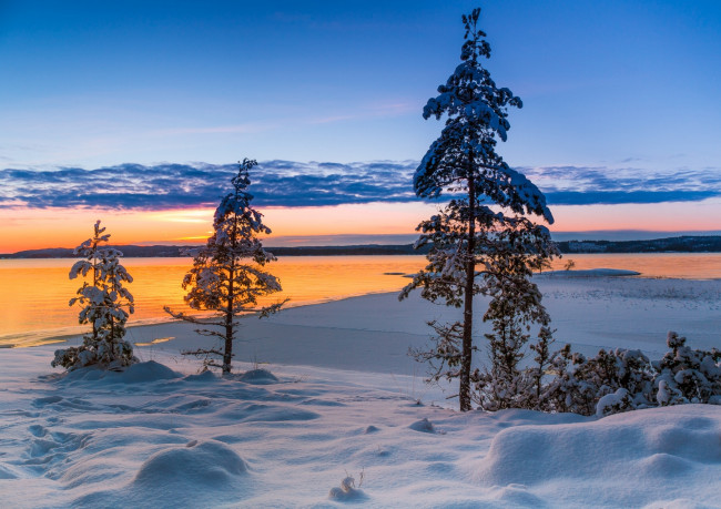 Обои картинки фото природа, зима, закат, деревья, озеро, снег, швеция, вермланд