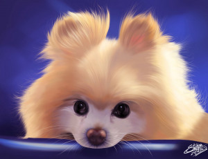 Картинка рисованное животные +собаки собака шпиц by khushiart
