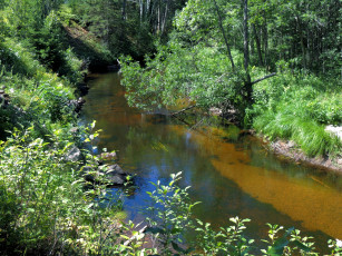 Картинка природа реки озера деревья камни вода