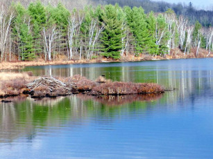 Картинка природа реки озера река вода деревья