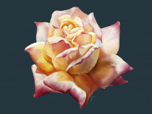 Картинка рисованное цветы цветок роза