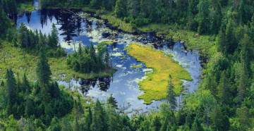 Картинка природа реки озера канада лес река водоём лето берег солнце свет блики вид высота