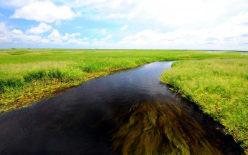 Картинка природа реки озера луга трава река вода