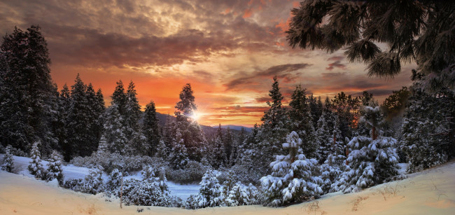 Обои картинки фото природа, зима, рассвет