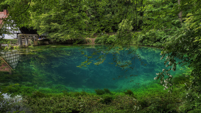 Обои картинки фото природа, реки, озера, j, blautopf, источник, блау, в, южной, германии