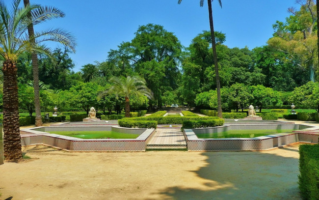 Обои картинки фото природа, парк, пальмы, аллеи, фонтаны