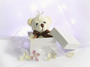 Картинка праздничные мягкие+игрушки медвежонок фон