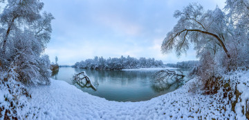 Картинка природа реки озера россия ставропольский край река терек зима снег деревья