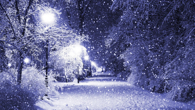 Обои картинки фото природа, зима, фонари, аллея, деревья, снег