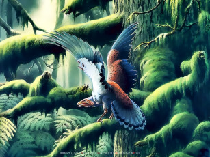 Картинка календари фэнтези птица крылья дерево природа растение calendar 2020